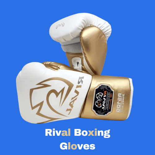 Rival Boxing Gloves